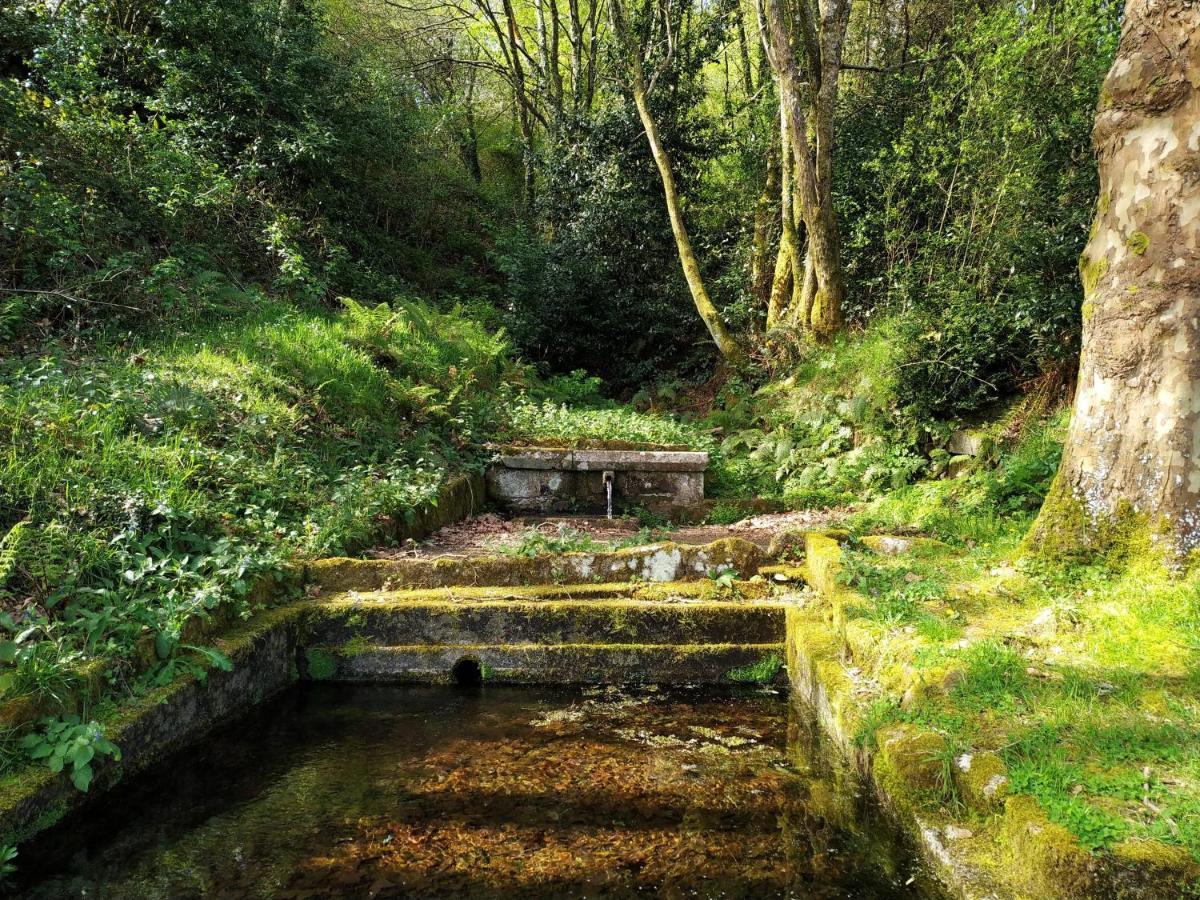 A Casa Dos Avos - Vilarino - A Coruna Экстерьер фото