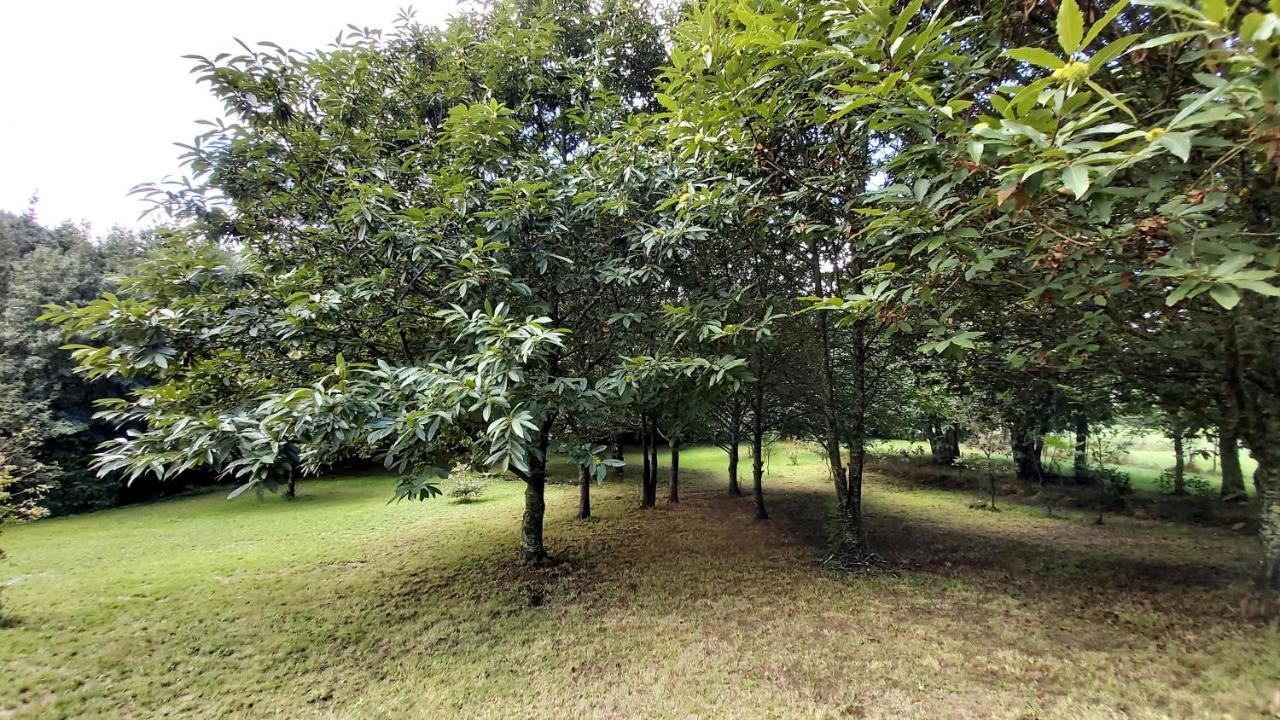 A Casa Dos Avos - Vilarino - A Coruna Экстерьер фото